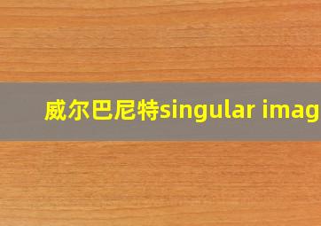 威尔巴尼特singular image